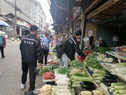 守护舌尖安全，越西县全面展开2021年度食品与食用农产品质量抽检工作