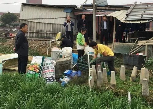 筑牢安全防线，高明区开展节前食用农产品专项检查行动