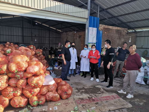 加强外援食用农产品检测，合力抗疫——景谷农业在行动