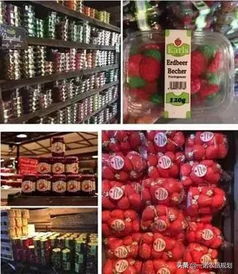 从车间到田园 农产品加工厂如何打造休闲观光新体验