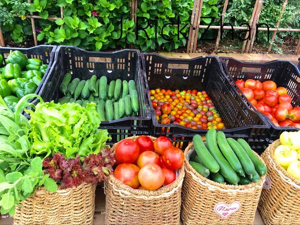 果蔬 ▏比花园还美的菜园