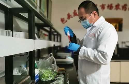 今日食用农产品检测结果公示丨吃鸡肉会致癌？鸡肉还能不能吃了