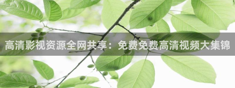 新酷客影院：高清影视资源全网共享：免费免费高清视频大集锦