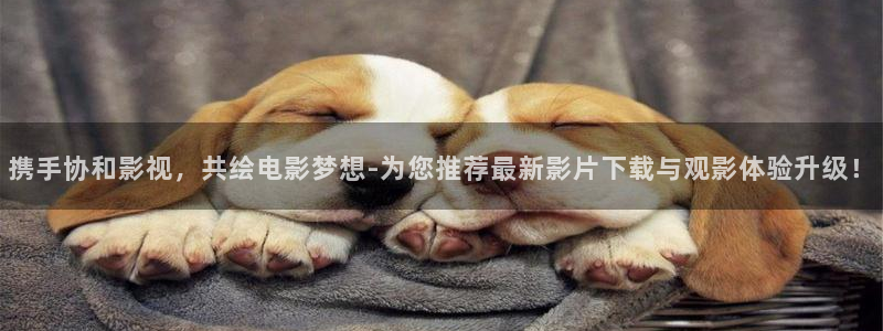 酷客影院交换的一天