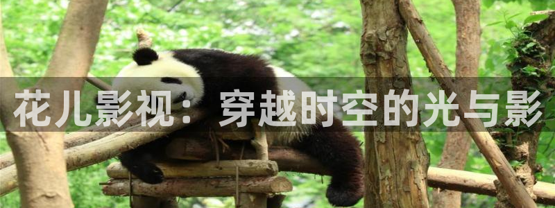 酷客影院免费看电视剧：花儿影视：穿越时空的光与影