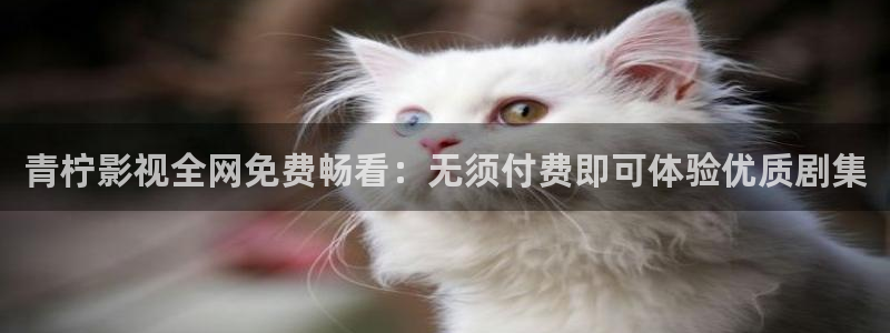 了酷客影院