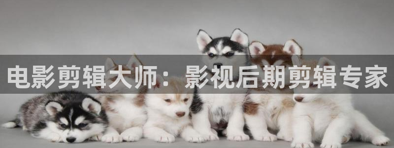 酷客影院在线观看免费全集