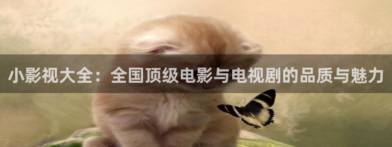 酷客影院手机在线观看