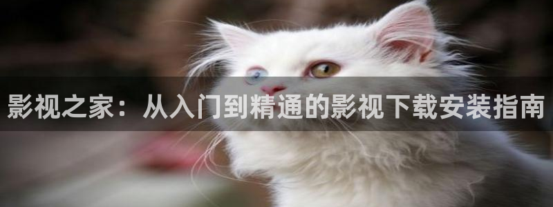 2025酷客影院在线观看免费完整版：影视之家：从入门到精通的影视下载安装指南