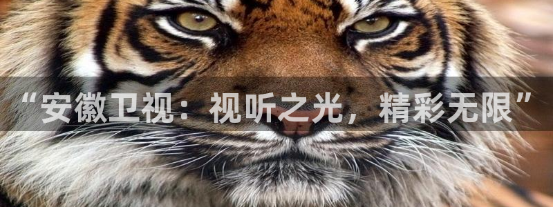 酷客影院电视：“安徽卫视：视听之光，精彩无限”