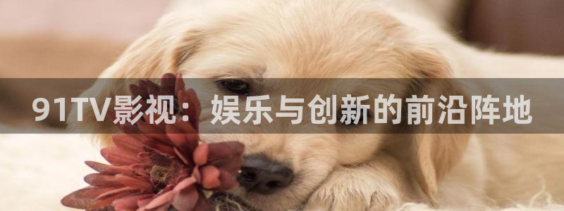 酷客影视电影：91TV影视：娱乐与创新的前沿阵地